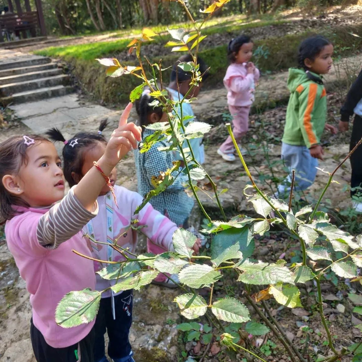 Field Trip to Godawari
